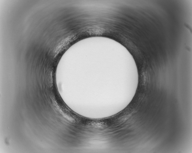 X0000103490638200810101023