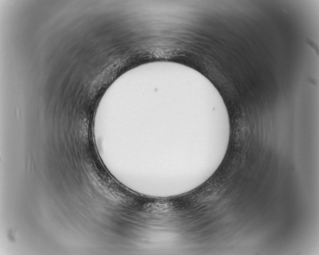 X0000103490639200810101023