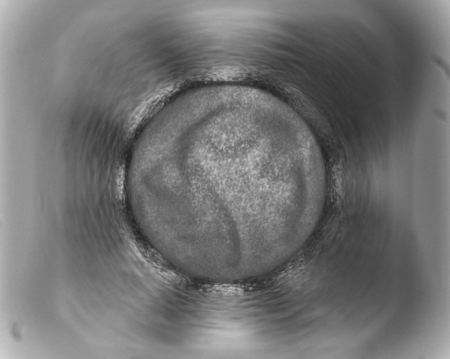 X0000103490640200810101023