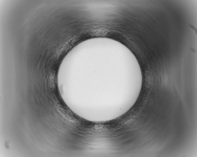 X0000103490641200810101023