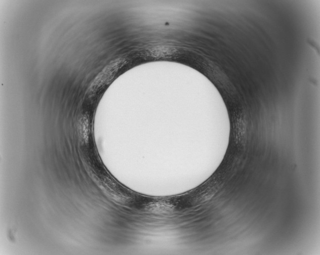 X0000103490644200810101024