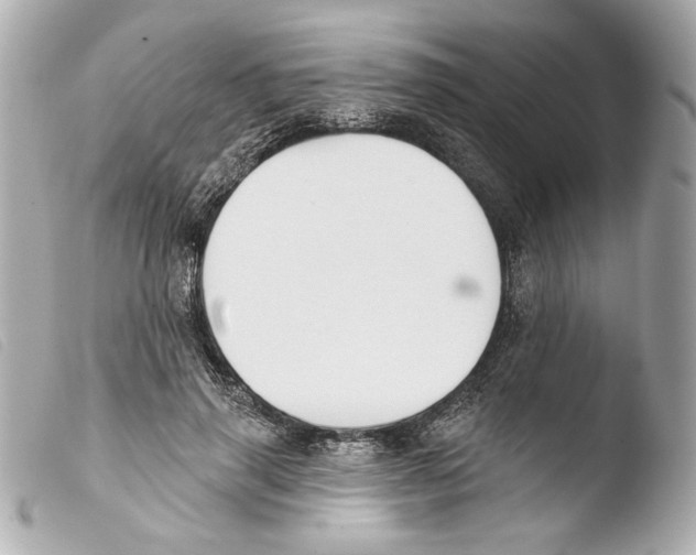 X0000103490645200810101024