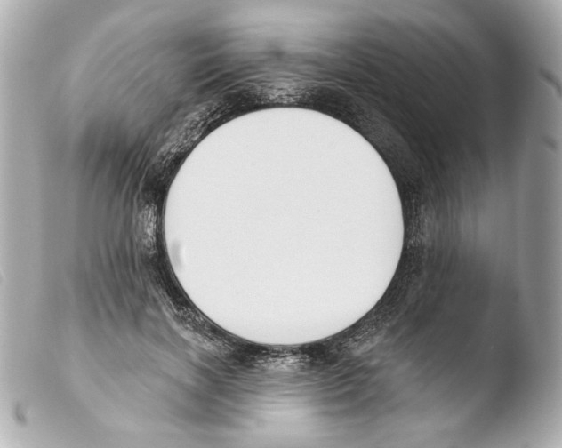 X0000103490646200810101024