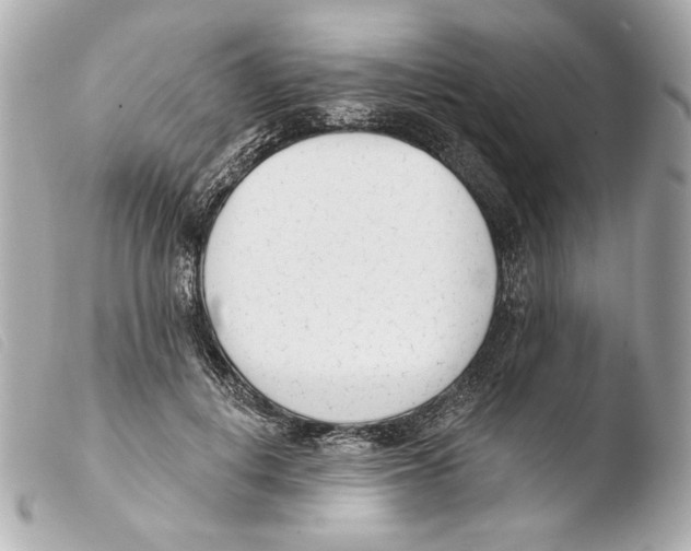 X0000103490648200810101024