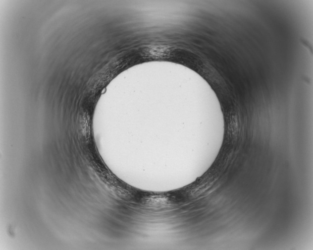 X0000103490651200810101024