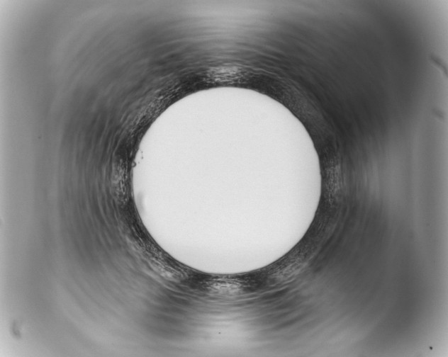 X0000103490653200810101024