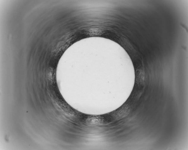 X0000103490655200810101024