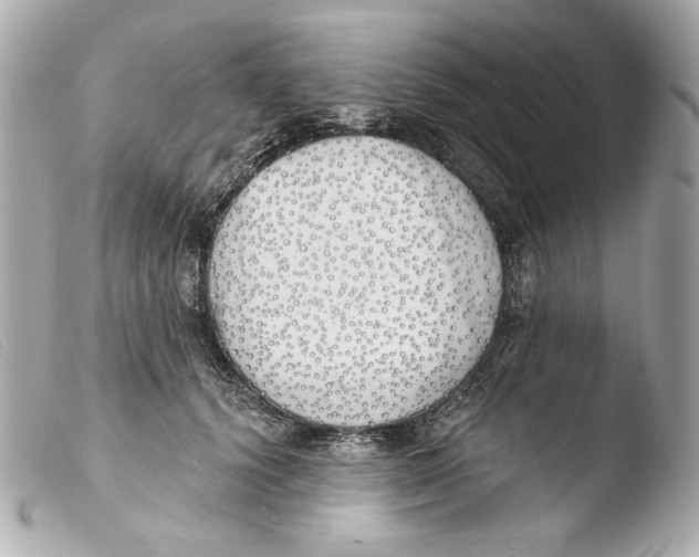 X0000103490656200810101024