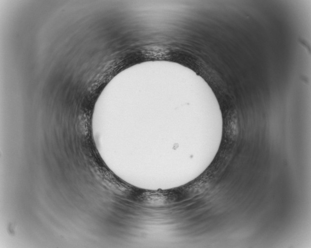 X0000103490658200810101024