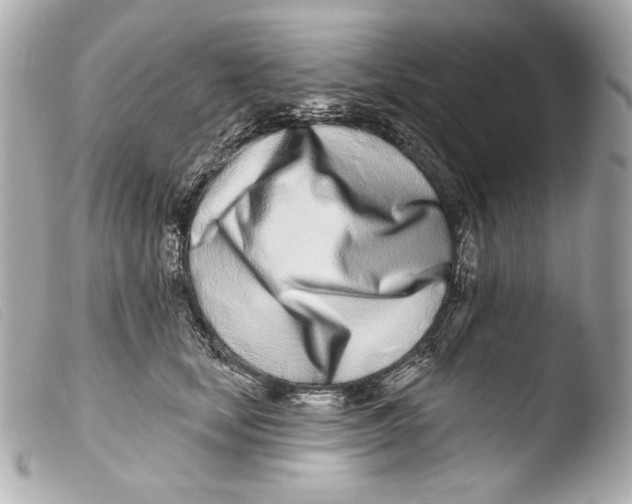 X0000103490659200810101024