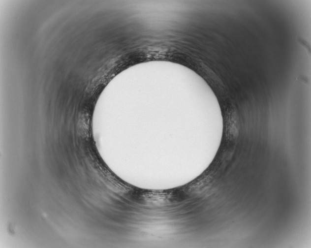 X0000103490661200810101024