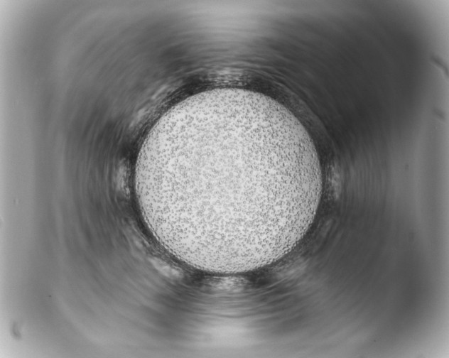 X0000103490663200810101024