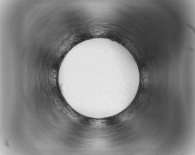 X0000103490664200810101024