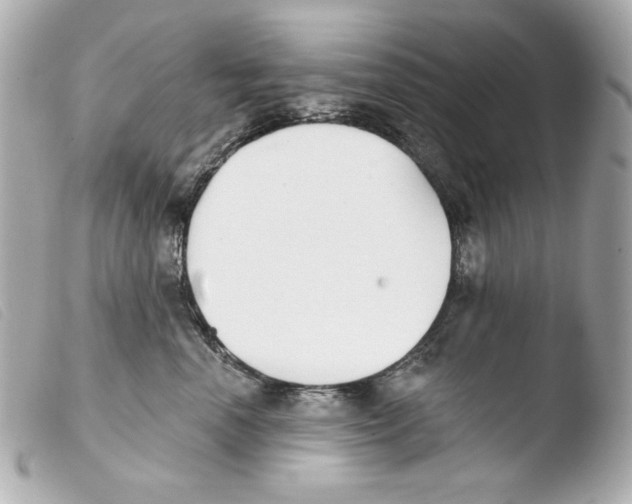 X0000103490666200810101024