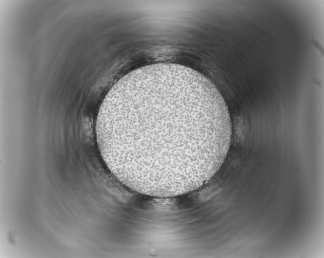 X0000103490667200810101024