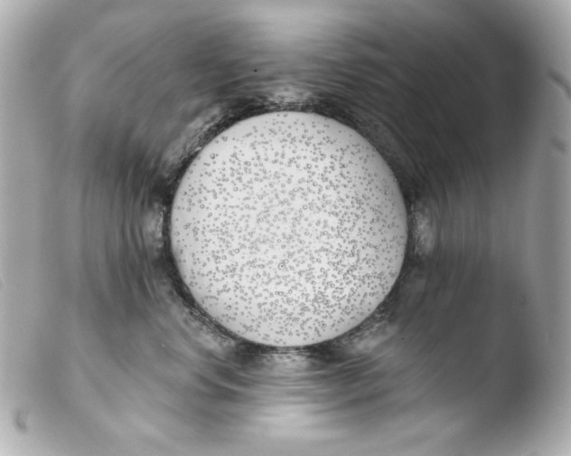 X0000103490668200810101024