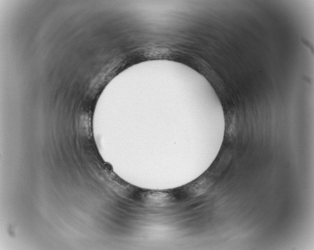 X0000103490669200810101024