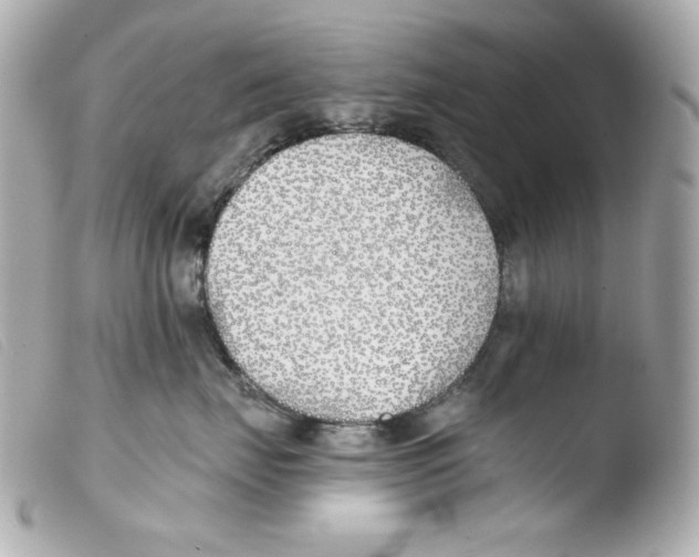 X0000103490671200810101024