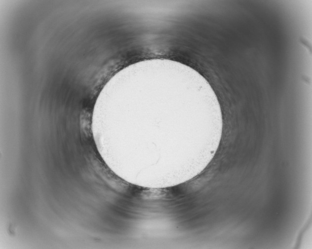 X0000103490672200810101024