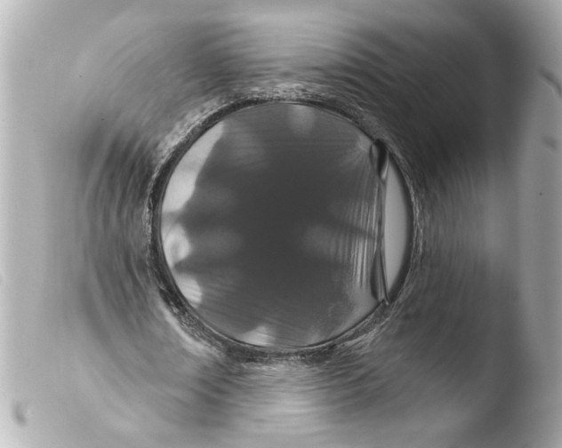 X0000103490674200810101023