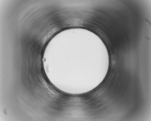X0000103490677200810101023