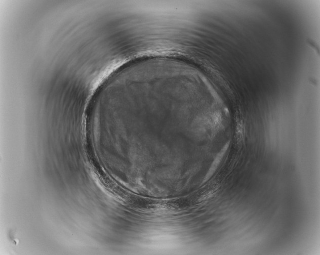 X0000103490678200810101023