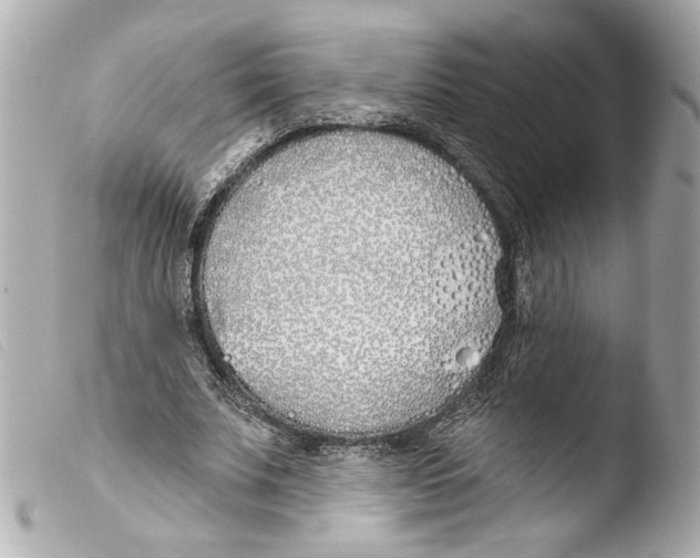 X0000103490679200810101023