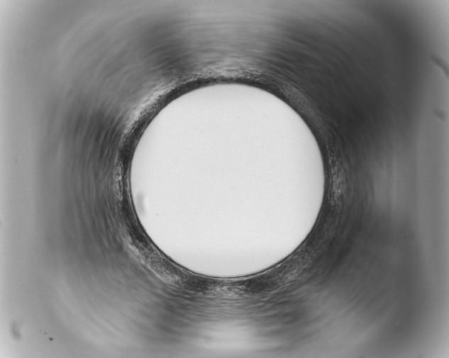 X0000103490680200810101023