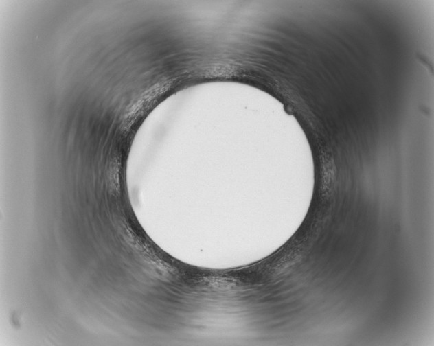 X0000103490681200810101023