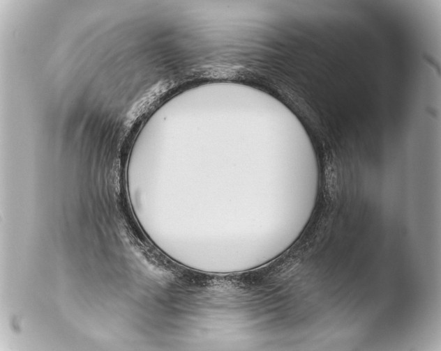 X0000103490682200810101023