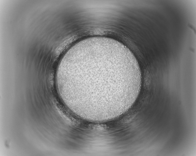 X0000103490683200810101023