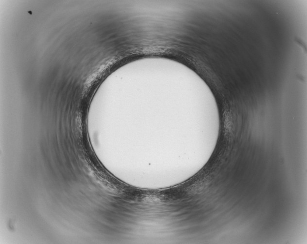 X0000103490684200810101023