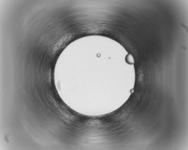 X0000103490685200810101023