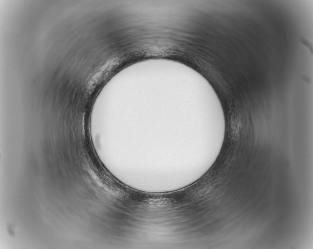 X0000103490686200810101023
