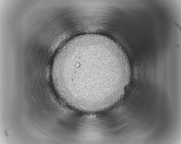 X0000103490687200810101023