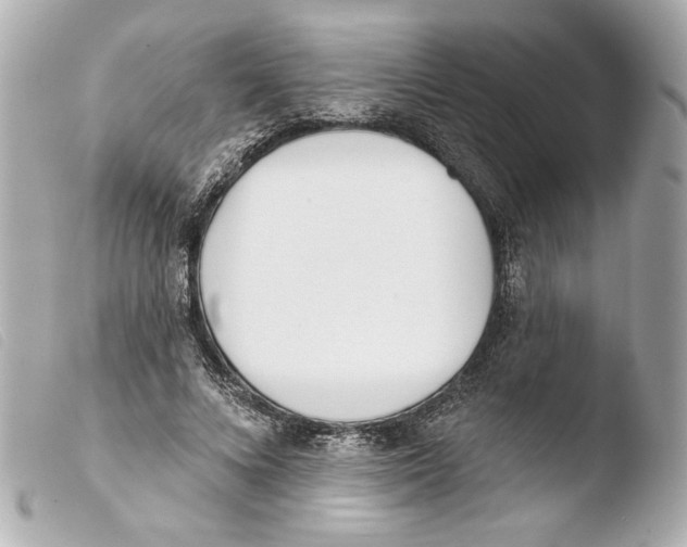 X0000103490688200810101023