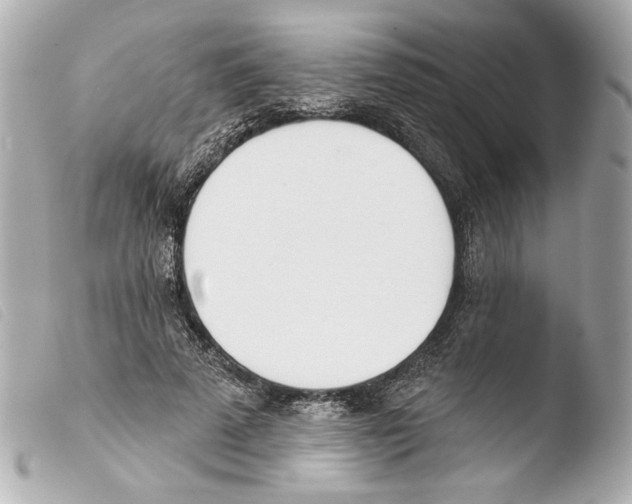X0000103490689200810101023