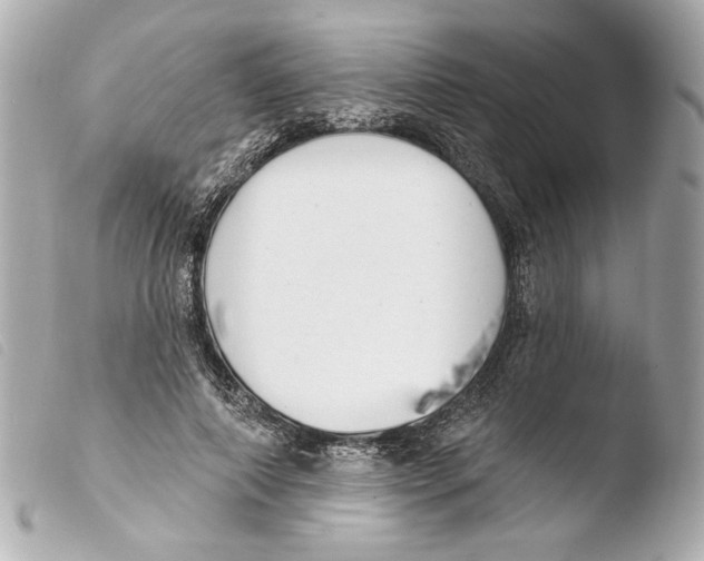 X0000103490690200810101023