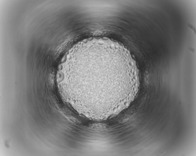 X0000103490691200810101023