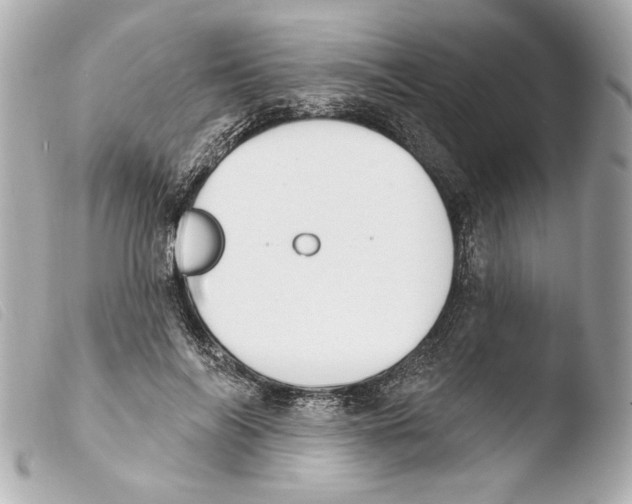 X0000103490694200810101023