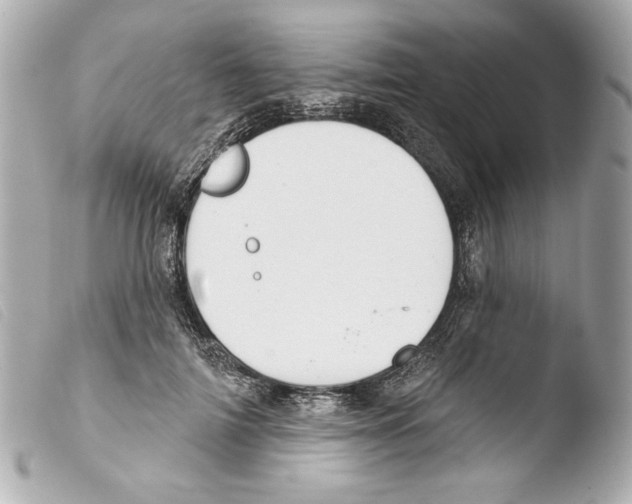 X0000103490698200810101023
