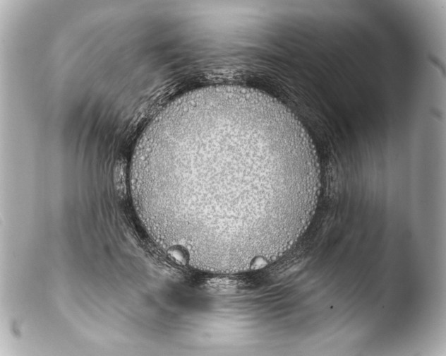 X0000103490699200810101023