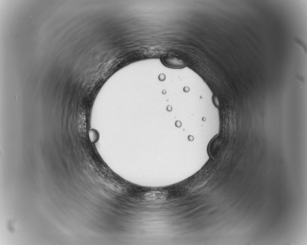 X0000103490700200810101023