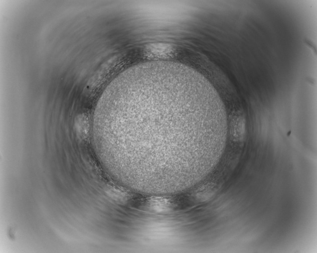 X0000103490701200810101023