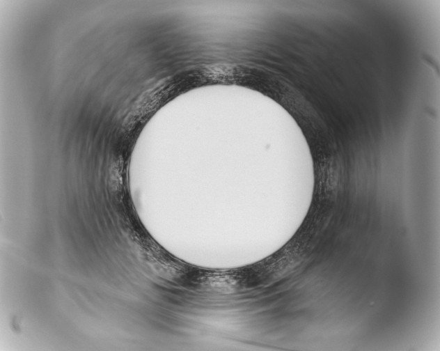 X0000103490702200810101022