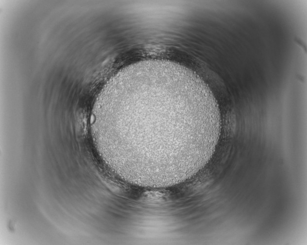 X0000103490703200810101022