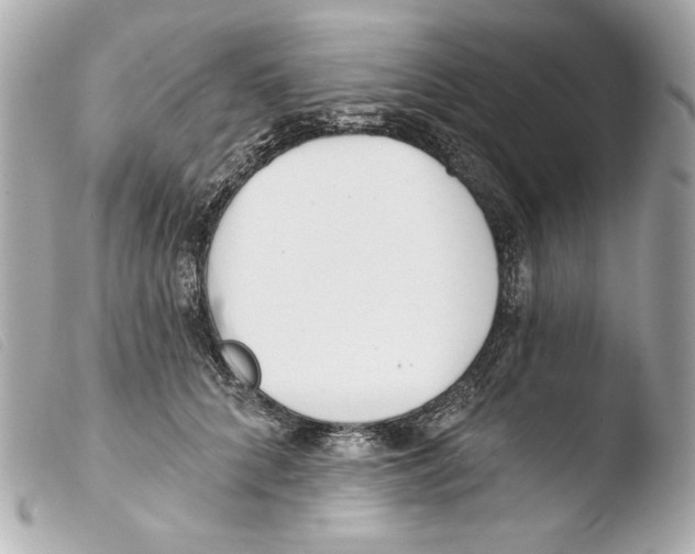 X0000103490704200810101022