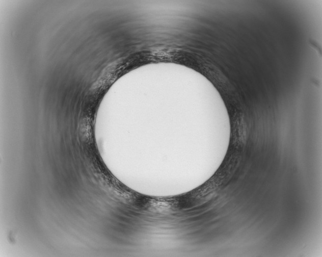 X0000103490706200810101022