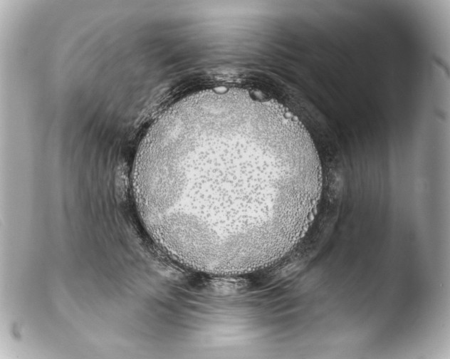 X0000103490707200810101022