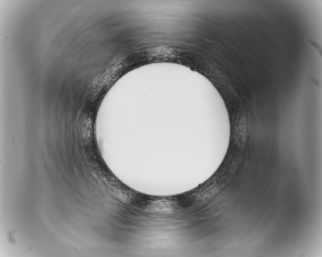X0000103490708200810101022